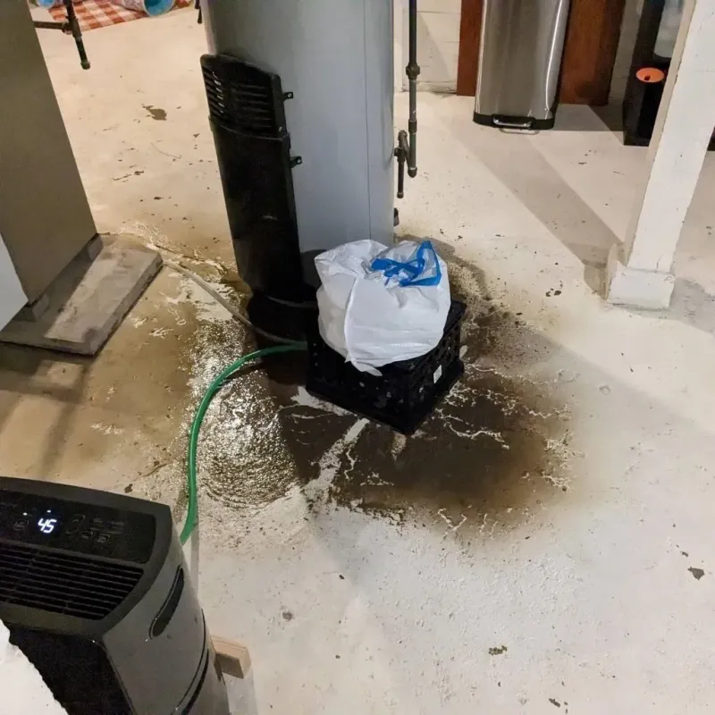 Sewage Backup Cleanup Service in Randolph County, AL